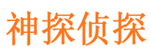 阳原侦探公司